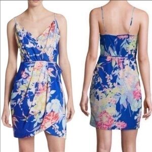 Yumi Kim Jayne blue tropical floral print dress D27